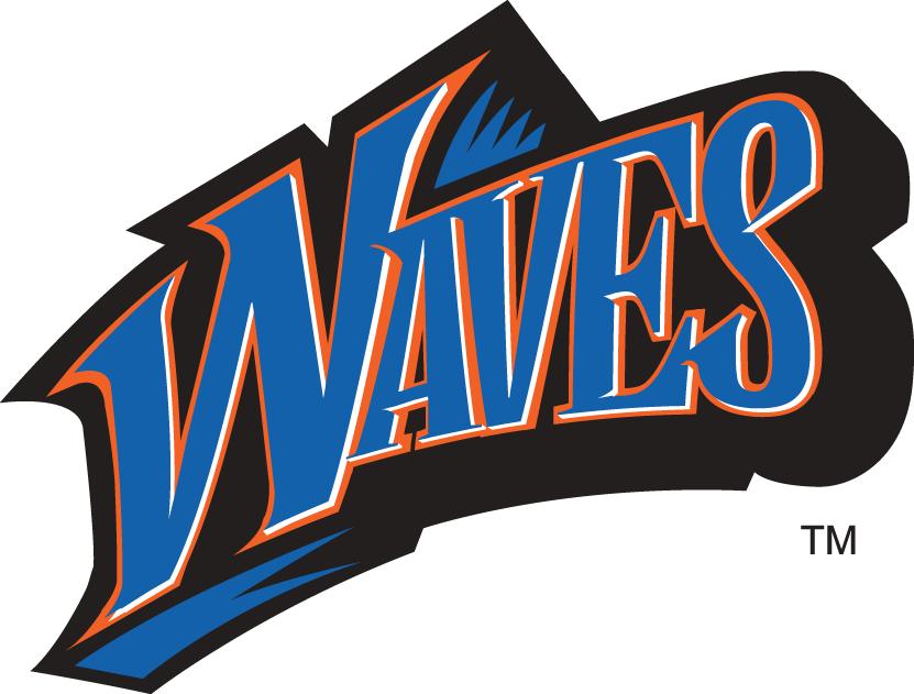 Pepperdine Waves 1998-2003 Wordmark Logo diy DTF decal sticker